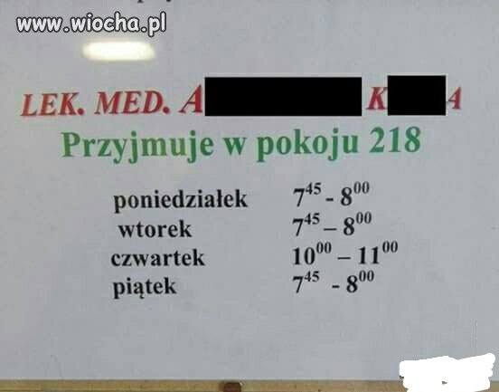 Pracowity gość 