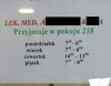 Pracowity gość 