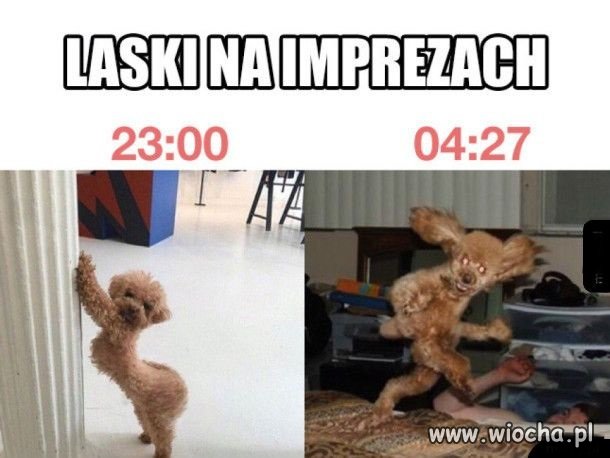 Taka prawda 