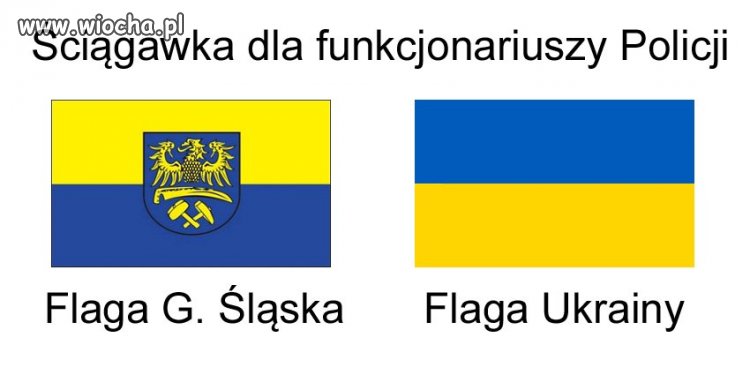 Czyją flagę spalili narodowcy ?