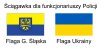 Czyją flagę spalili narodowcy ?