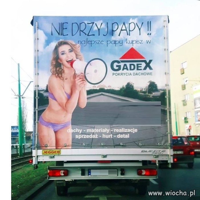 Nic lepszego dziś nie zobaczycie