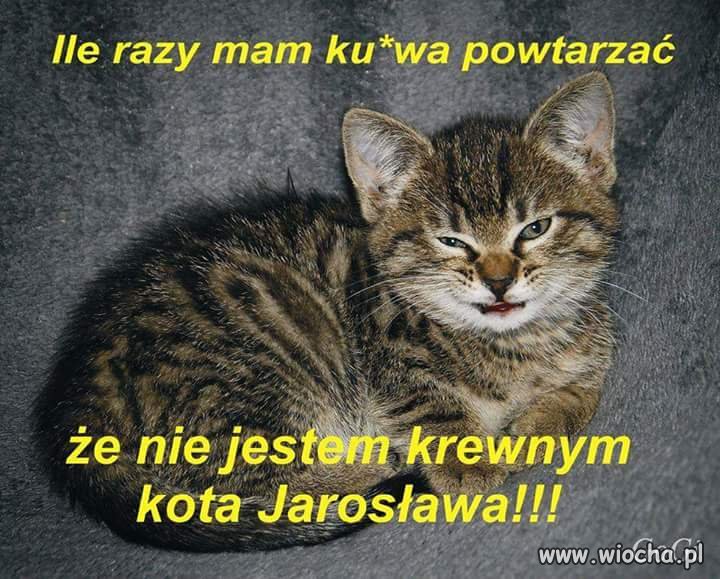Ile razy jeszcze...