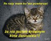 Ile razy jeszcze...