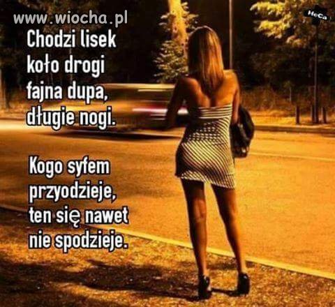 Lisek