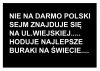 NAJLEPSZE BURAKI TYLKO Z WIEJSKIEJ