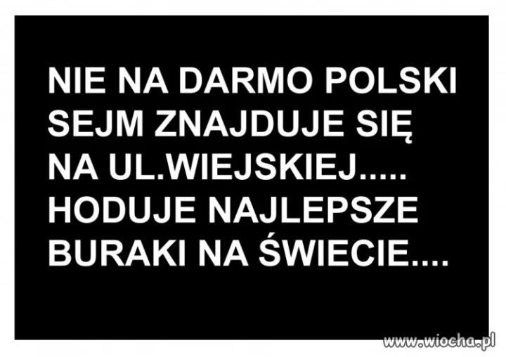 NAJLEPSZE BURAKI TYLKO Z WIEJSKIEJ