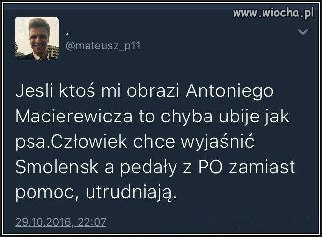 Nowy Misiek