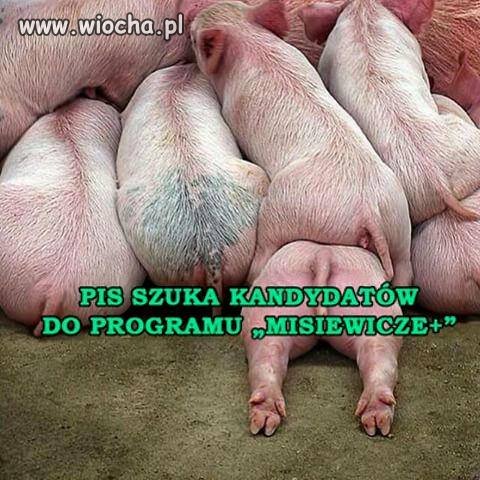 PO się nachapało