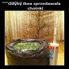 Ikea zainspirowała wszystkich 