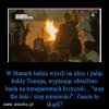 I w USA mają swoich tolerancyjnych "demokratów"