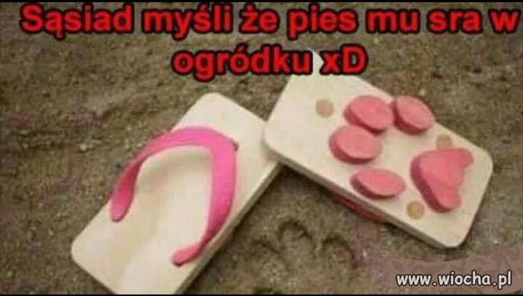 Naiwny sąsiad