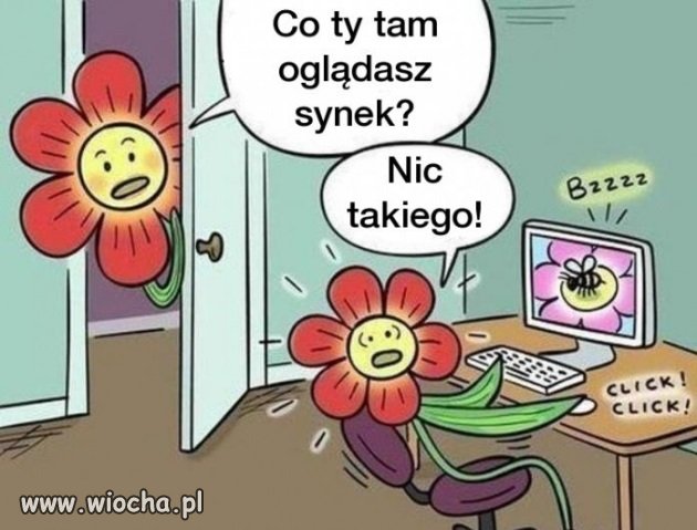 Zapylanie