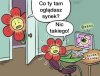 Zapylanie