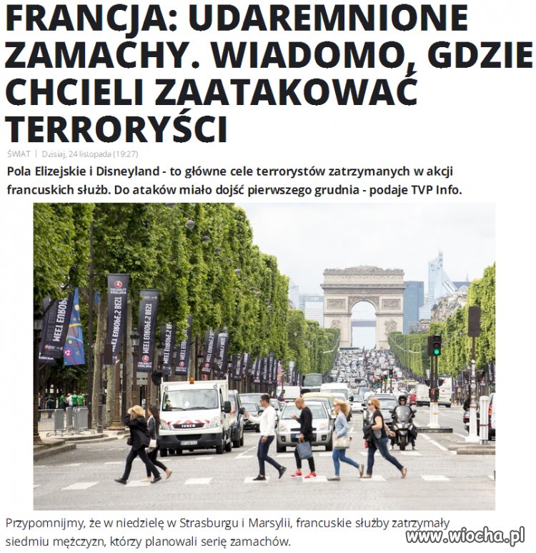 Czy Europie są potrzebni pseudo uchodźcy z...