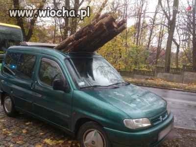 Bezpieczeństwo ponad wszystko
