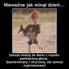 Sponiewierany i wkurzony