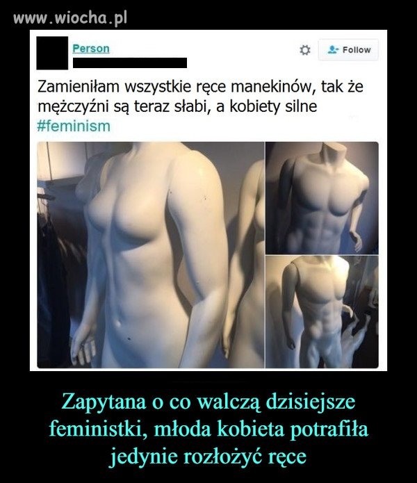 Feministki