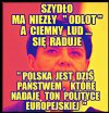 Raczej świstak