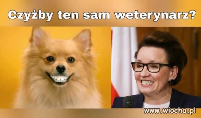Ten sam lekarz albo żarcie.