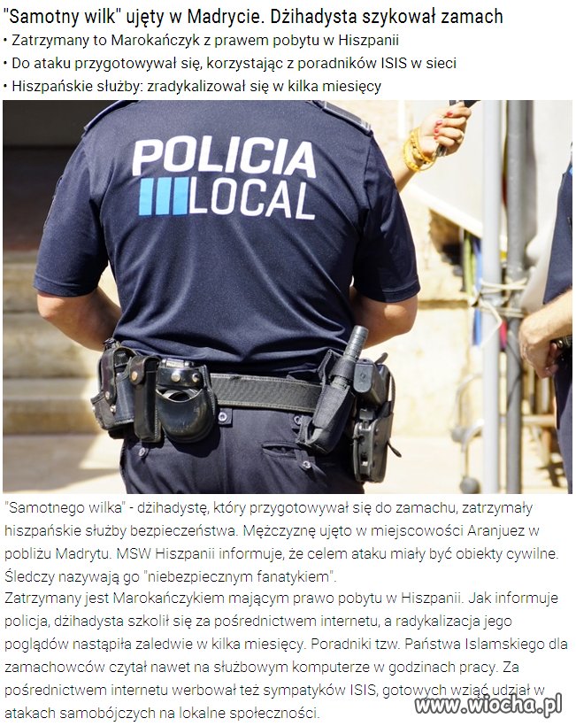 Zatrzymali kolejnego terrorystę...