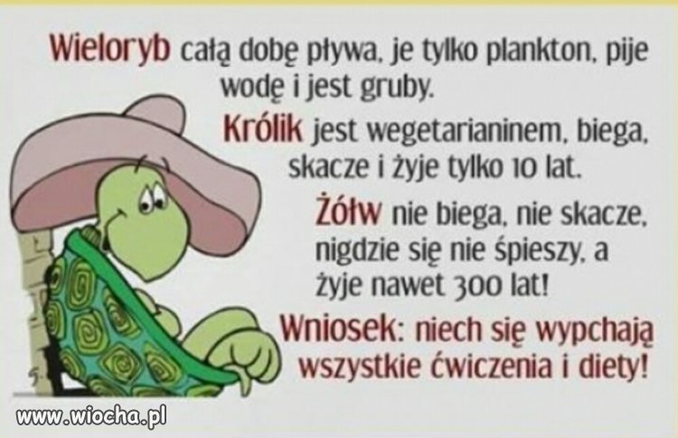 Bo życie jest zbyt krótkie by marnować je na diety