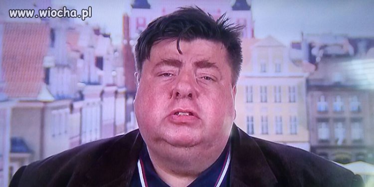 Potwory i Spółka 