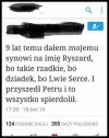 Ryszard Lwie Serce 