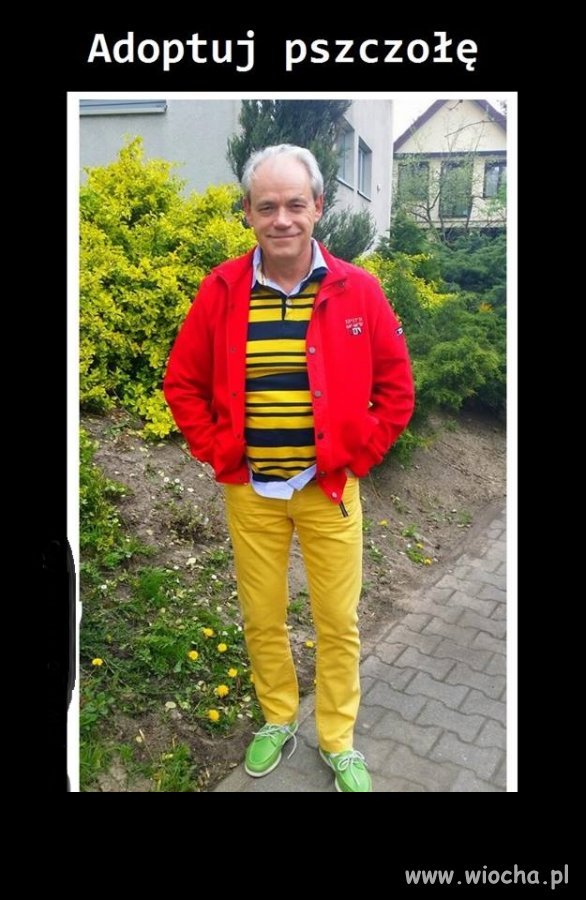  To w końcu pszczołę czy trutnia? 