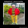  To w końcu pszczołę czy trutnia? 