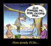Złote porady ZUSu