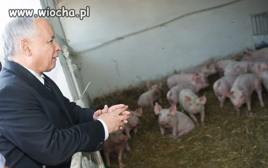 Spotkanie z misiewiczami