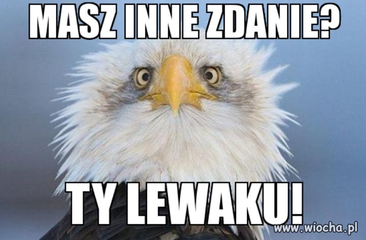 Definicja lewaka
