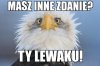 Definicja lewaka