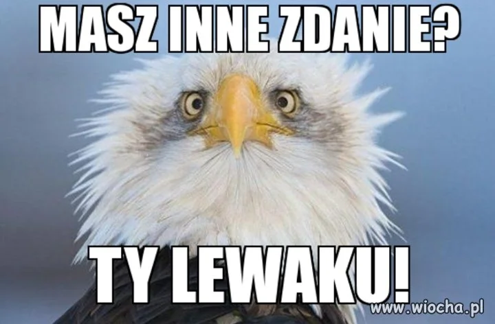 Definicja lewaka