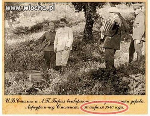 10 kwietnia 1940, Stalin sadzi brzoze w Smoleńsku 