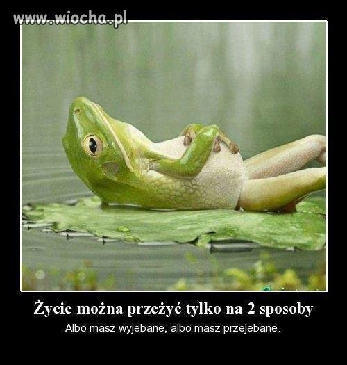 Wy...ane.