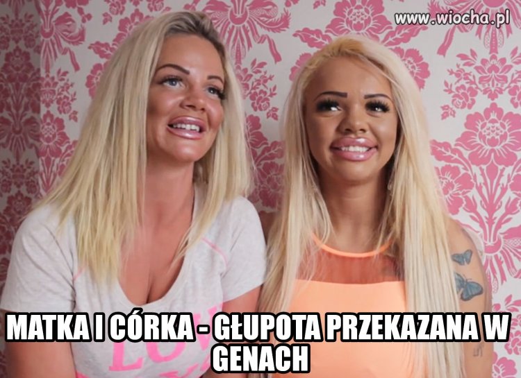Głupota wyryta na twarzy u córki i matki.