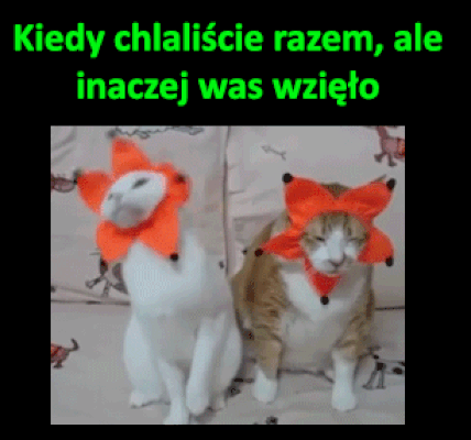 Kiedy chlaliście razem...