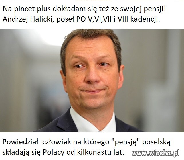 Złote myśli posła Halickiego.