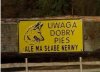 Dobry pies