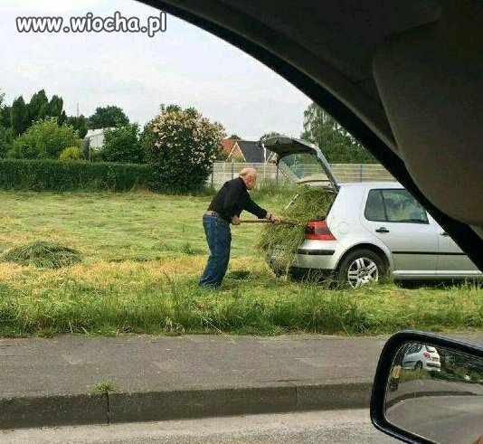 Nie masz siana zadzwoń do bociana 