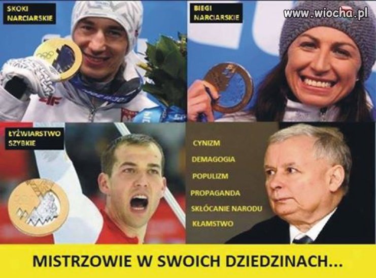Mistrz jest tylko