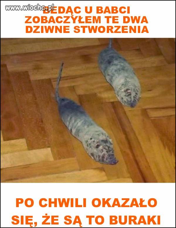 U babci wszystko jest możliwe