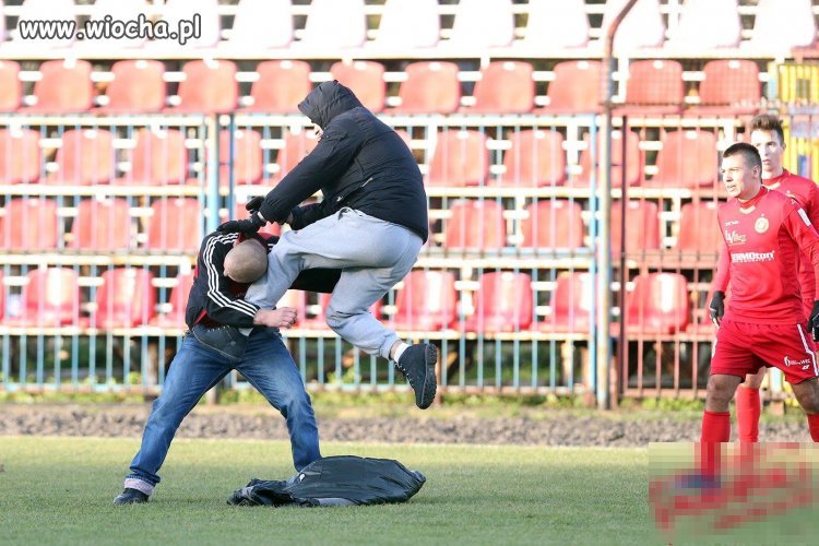 Polska liga 