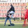 Polska liga 