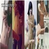 "The One Finger Selfie Challenge" 