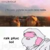 Jest pytanie, jest odpowiedź