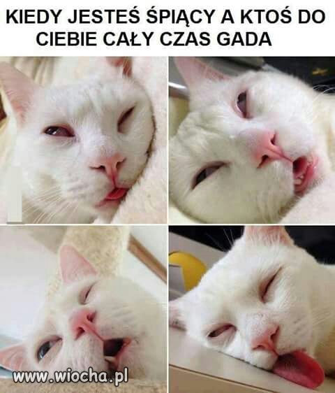Kiedy jesteś śpiący 