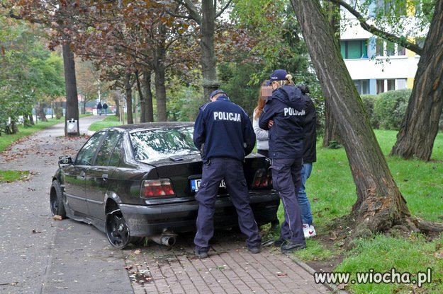 Bo Mnie Wolno...zapier*** panie władzo